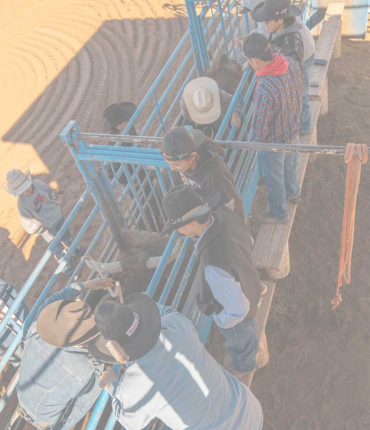 26NTU Rodeo Team
