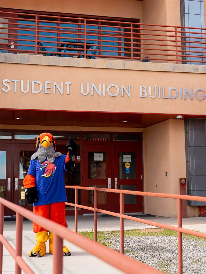 Sammy the Skyhawk